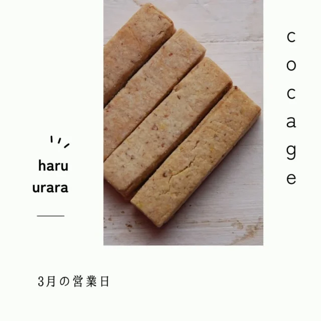🌷

写真は４種ウコン（春秋黒紫）クッキー
黒、紫ウコンは特に珍しく
米粉でサックっとホロリ、最後にウコンを感じて「うまっ！」と口にされる方も🙏
　

サックっとホロリ
写真で伝えるのは難しいです

おやつの写真は特に
かわいい、きれいで終わり
どこかアート的だったりで
結局なにを伝えたかったのかわからなくなるときもあります

「食べに行こう」「買いに行こう」
と行動につなぐ撮影ができる商業カメラマンさんは天才だなと

スマホですんごいキレイに画角もセンスよく撮って下さるcocageのお客様の投稿も
こりゃまた天才だなと、驚くものばかり
いつもありがとうございます🌿

撮影する人が変われば
また違う雰囲気が生まれますね
写真は本当に面白いです

今後、cocageの投稿カットも
突然のいつもと違う感に気づくかも知れませんが、それもぜひお楽しみください

というわけで？
3月も今のところ通常営業
どうぞよろしくお願い致します

／／／

cocageのご近所「向山梅林園」
ぜひ、梅散歩のついでにお店にお立ち寄りいただき
焼き菓子やお弁当も一緒に連れて行ってもらえるとeri＆cacoが笑顔の花で咲き乱れます

24日月曜日は祝日ですがopenしておりますのでぜひ👐

／／／

cocage）））））

月～木　10:00～15:30　金土日休み

喫茶10:00～　ごはん11:00～

NEW　紅茶のチーズケーキ　

#駐車場1台#テイクアウト
#豊橋市 #豊橋市喫茶店 
#地産地消